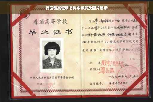 药品备案证明书样本详解及图片展示