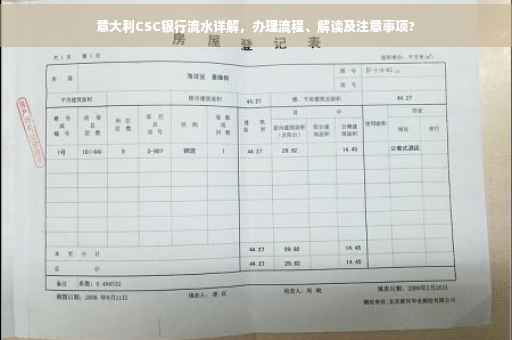 意大利CSC银行流水详解，办理流程、解读及注意事项?