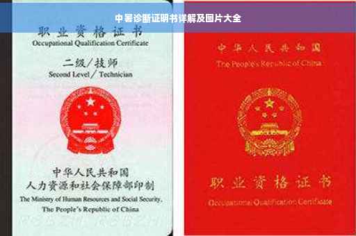 中暑诊断证明书详解及图片大全