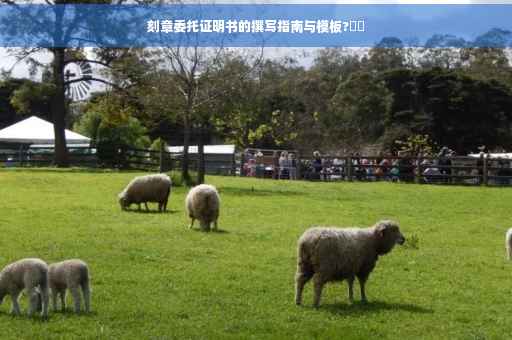 刻章委托证明书的撰写指南与模板?⚡️