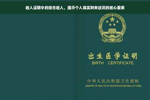 收入证明中的综合收入，揭示个人真实财务状况的核心要素