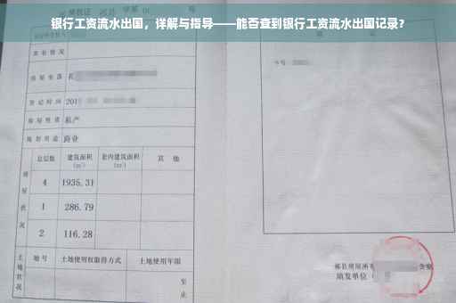 银行工资流水出国，详解与指导——能否查到银行工资流水出国记录？