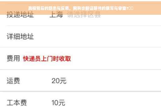 真相背后的隐患与反思，网购诊断证明书的撰写与审查?⚡️