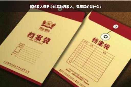 揭秘收入证明中的其他月收入，究竟指的是什么？