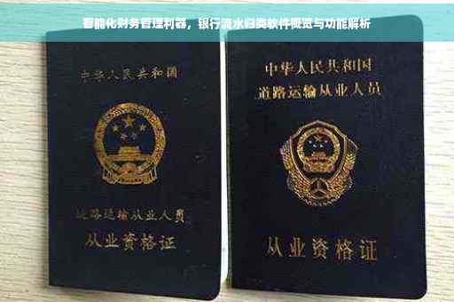智能化财务管理利器，银行流水归类软件概览与功能解析