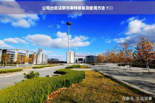 公司出资证明书表格模板及使用方法 ?⚡️
