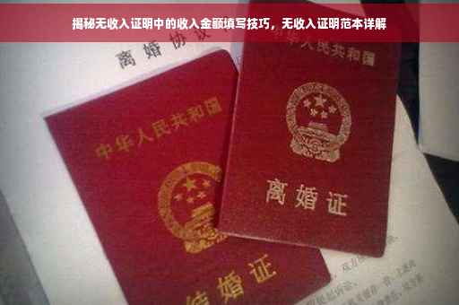揭秘无收入证明中的收入金额填写技巧，无收入证明范本详解