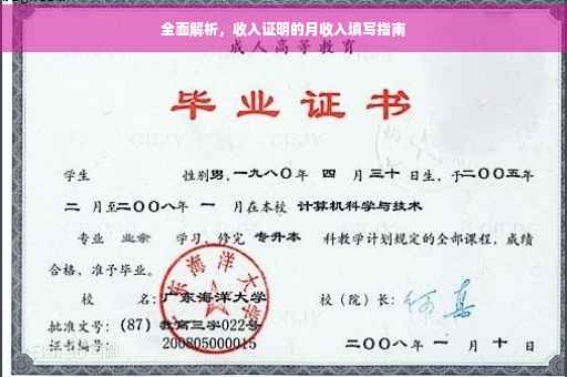 全面解析，收入证明的月收入填写指南