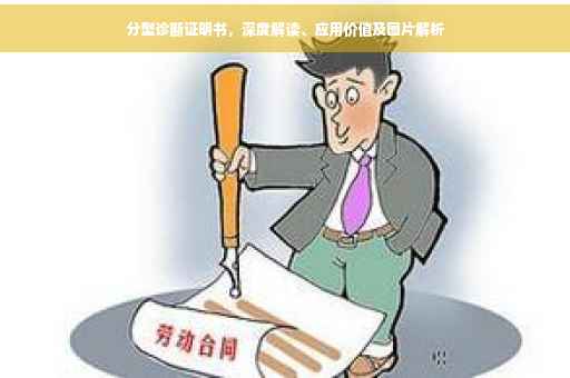 分型诊断证明书，深度解读、应用价值及图片解析
