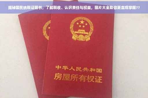 揭秘国民纳税证明书，了解税收、认识责任与权益，图片大全助你更直观掌握??