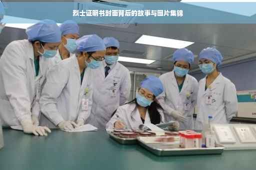 烈士证明书封面背后的故事与图片集锦