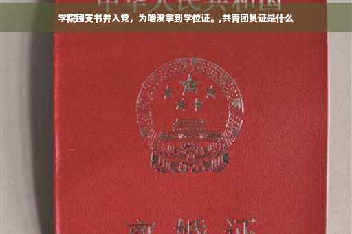 学院团支书并入党，为啥没拿到学位证。,共青团员证是什么