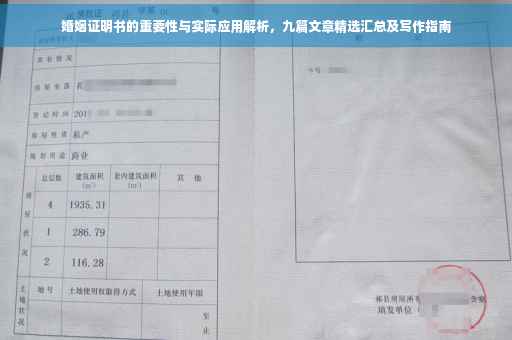 婚姻证明书的重要性与实际应用解析，九篇文章精选汇总及写作指南