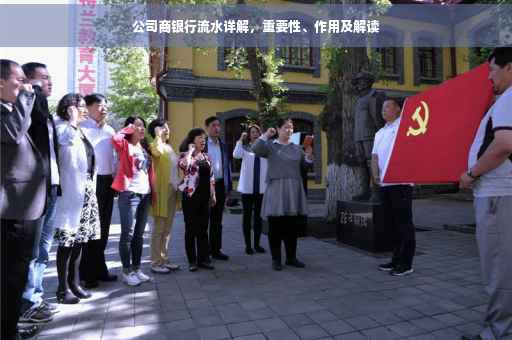 公司商银行流水详解，重要性、作用及解读
