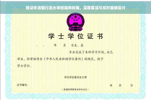 签证申请银行流水审核趋势加强，深度解读与应对策略探讨