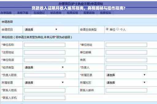贷款收入证明月收入编写指南，真相揭秘与操作指南?