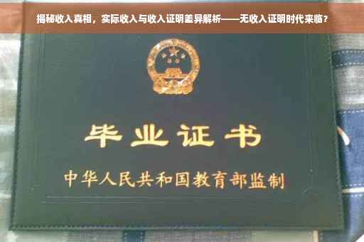 揭秘收入真相，实际收入与收入证明差异解析——无收入证明时代来临？
