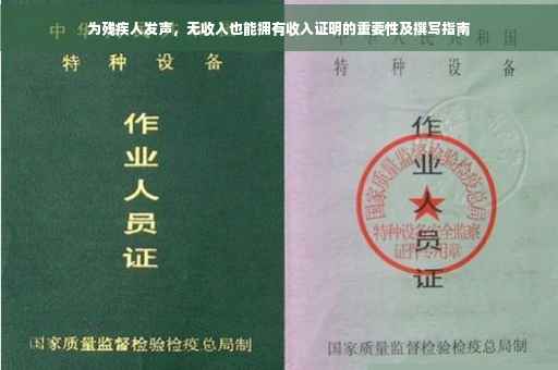 为残疾人发声，无收入也能拥有收入证明的重要性及撰写指南