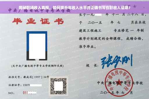 揭秘职场收入真相，如何提升年收入水平并正确书写在职收入证明？