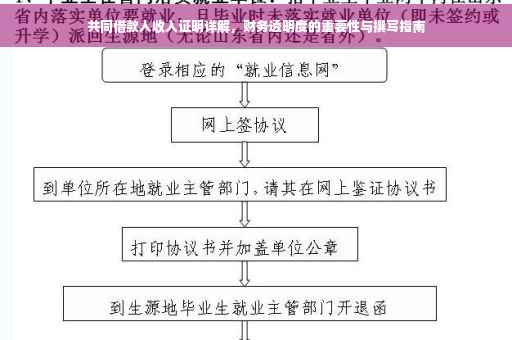 共同借款人收入证明详解，财务透明度的重要性与撰写指南
