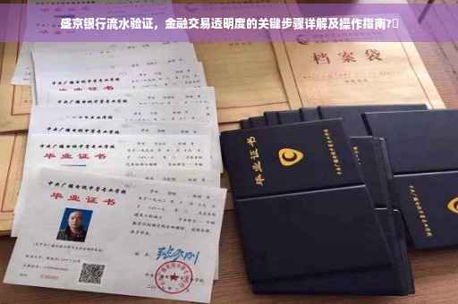 盛京银行流水验证，金融交易透明度的关键步骤详解及操作指南?✨