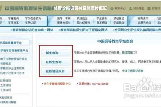 感冒诊断证明书及其图片概览