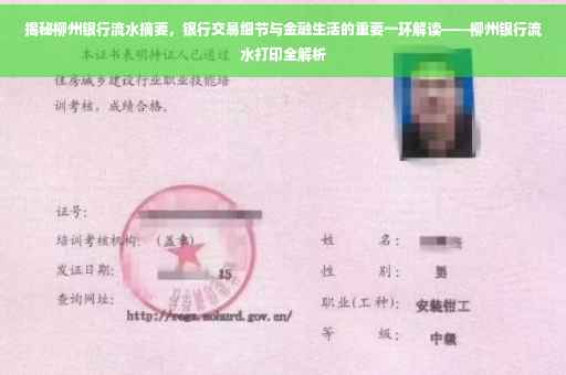 揭秘柳州银行流水摘要，银行交易细节与金融生活的重要一环解读——柳州银行流水打印全解析