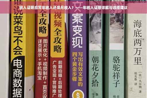 收入证明应写年收入还是月收入？——年收入证明详解与选择建议