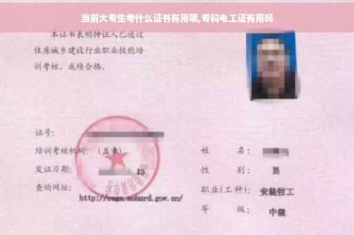 当前大专生考什么证书有用呢,专科电工证有用吗 当前大专生考什么证书有用呢,专科电工证有用吗