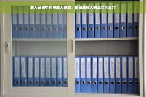 收入证明中的总收入详解，揭秘总收入的真实含义??