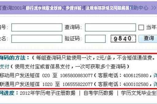 银行流水提取全攻略，步骤详解、注意事项及常见问题解答！