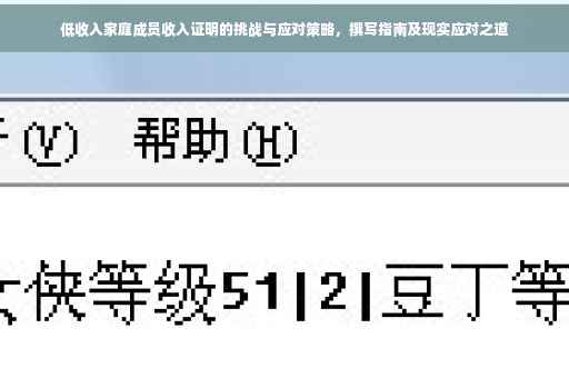 低收入家庭成员收入证明的挑战与应对策略，撰写指南及现实应对之道