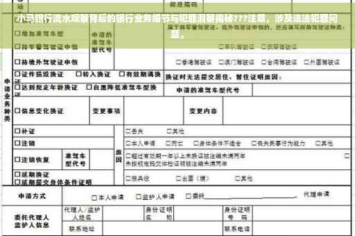 小马银行流水观察背后的银行业务细节与犯罪洞察揭秘???注意，涉及违法犯罪问题。