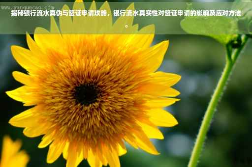 揭秘银行流水真伪与签证申请攻略，银行流水真实性对签证申请的影响及应对方法。