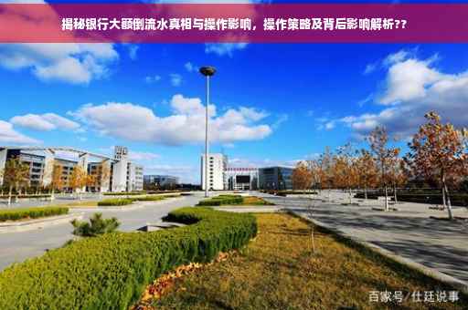 揭秘银行大额倒流水真相与操作影响，操作策略及背后影响解析??