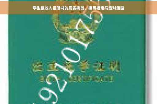 学生低收入证明书的现实挑战，撰写指南与应对策略