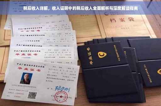 税后收入详解，收入证明中的税后收入全面解析与深度解读指南