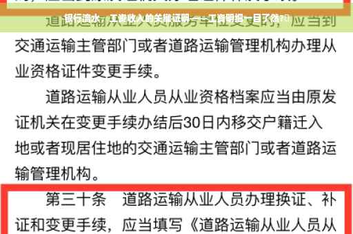 银行流水，工资收入的关键证明——工资明细一目了然?✨