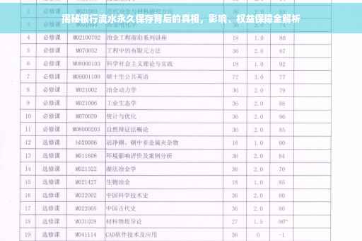揭秘银行流水永久保存背后的真相，影响、权益保障全解析