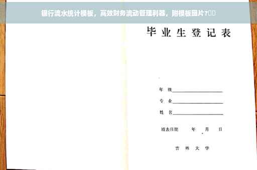 银行流水统计模板，高效财务流动管理利器，附模板图片?⚡️