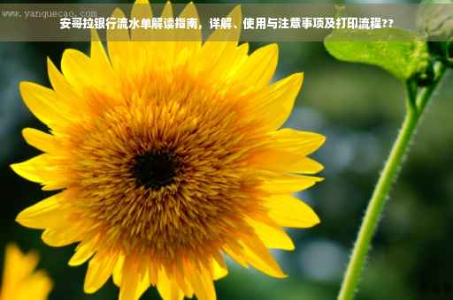 安哥拉银行流水单解读指南，详解、使用与注意事项及打印流程??