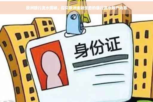 欧洲银行流水揭秘，探究欧洲金融生态的银行流水账户内幕