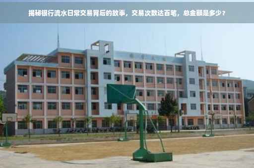 揭秘银行流水日常交易背后的故事，交易次数达百笔，总金额是多少？