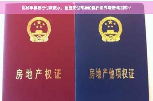 揭秘手机银行付款流水，便捷支付背后的操作细节与查询指南??