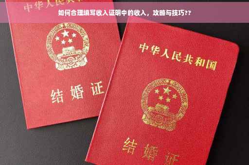 如何合理填写收入证明中的收入，攻略与技巧??
