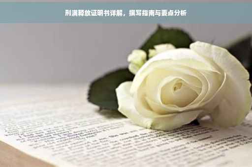 刑满释放证明书详解，撰写指南与要点分析