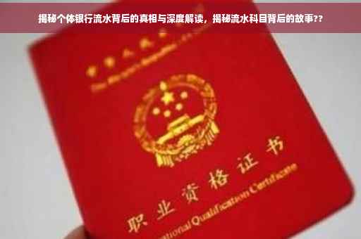 揭秘个体银行流水背后的真相与深度解读，揭秘流水科目背后的故事??
