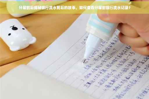 分居前后揭秘银行流水背后的故事，如何查看分居前银行流水记录？