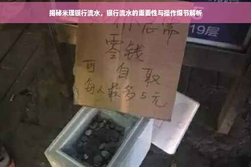 揭秘米理银行流水，银行流水的重要性与操作细节解析