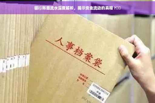 银行账面流水深度解析，揭示资金流动的真相 ?⚡️